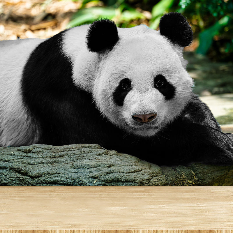 Customized Panda Wall Paper Murals Mildew Resistant Living Room Wall Decor