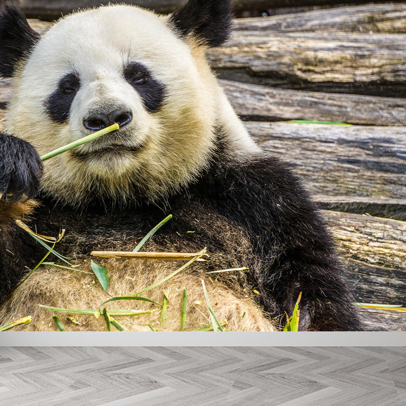 Customized Panda Wall Paper Murals Mildew Resistant Living Room Wall Decor