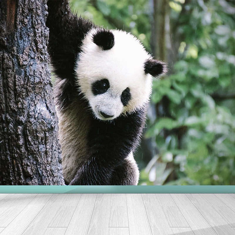 Customized Panda Wall Paper Murals Mildew Resistant Living Room Wall Decor