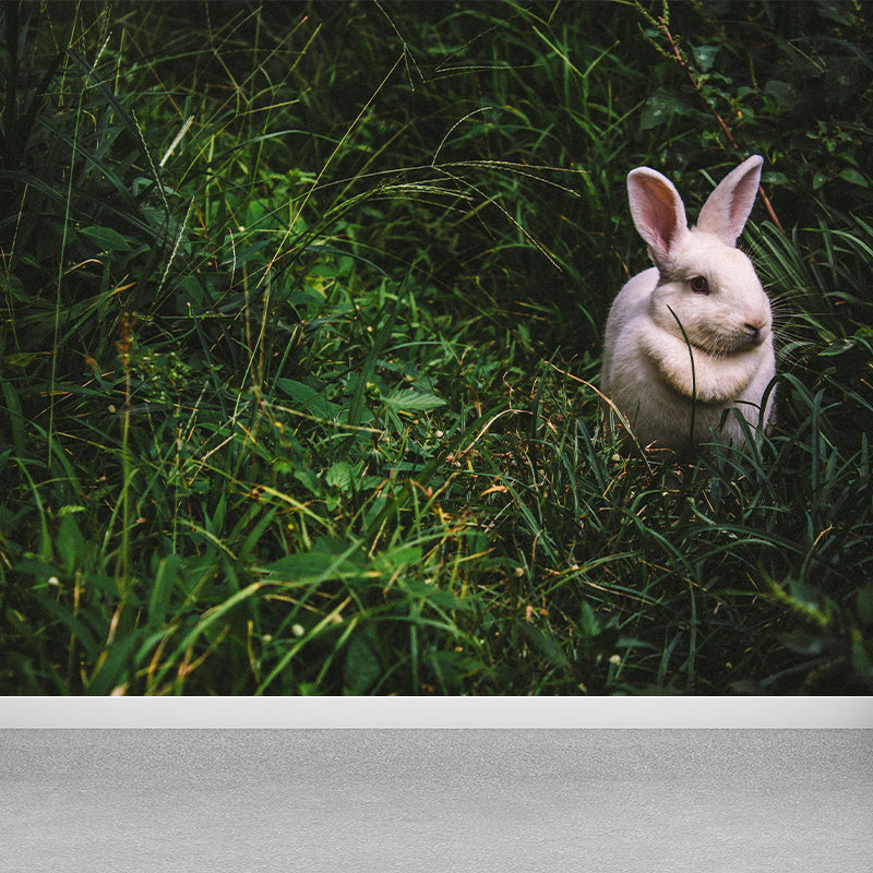 Customized Hare Wall Paper Murals Mildew Resistant Living Room Wall Decor