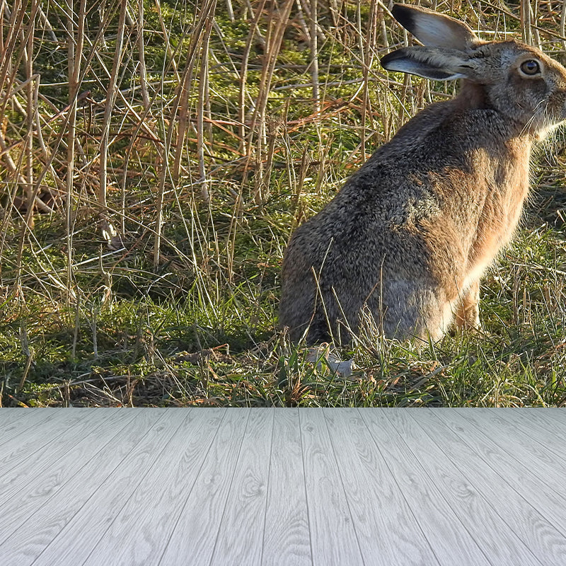 Customized Hare Wall Paper Murals Mildew Resistant Living Room Wall Decor