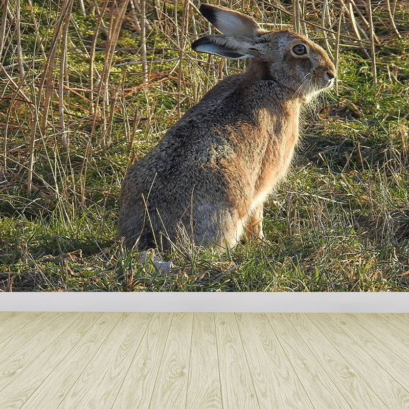 Customized Hare Wall Paper Murals Mildew Resistant Living Room Wall Decor