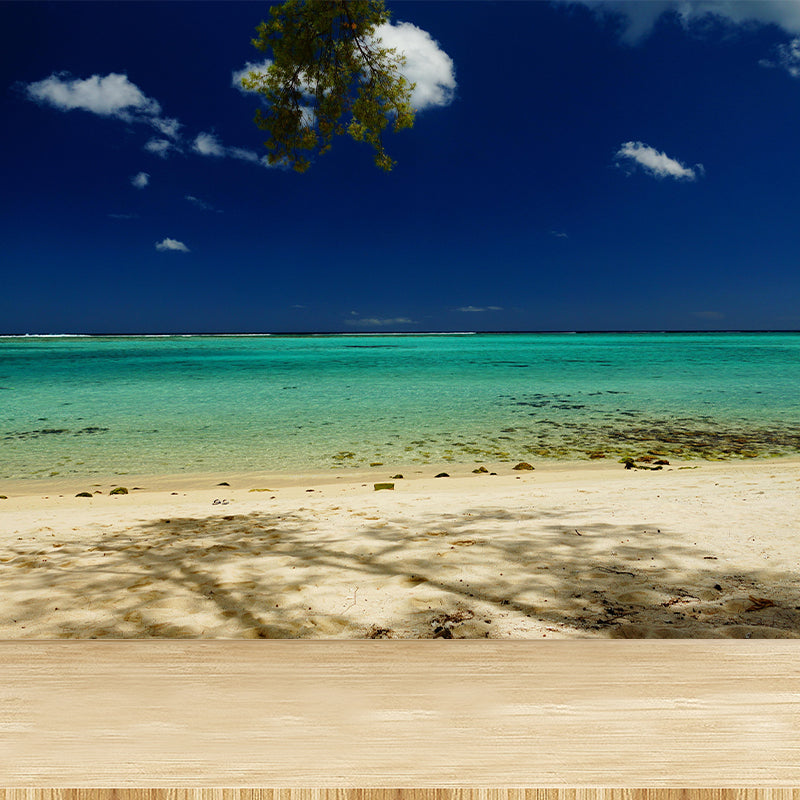 Indian Ocean Mural Nature Scenery Wall Covering in Light Color for Bathroom