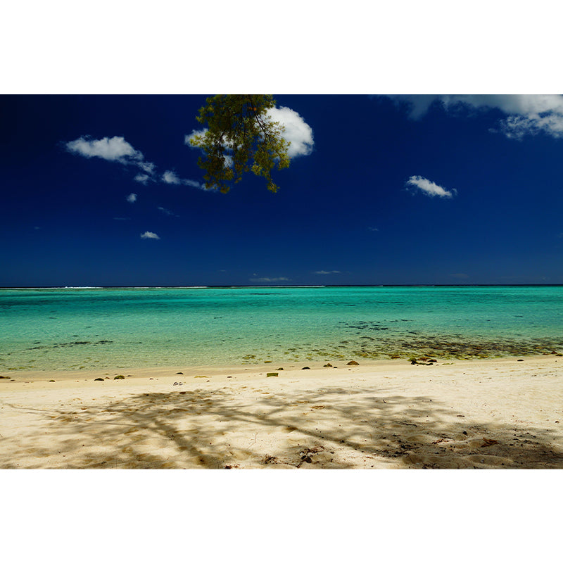 Indian Ocean Mural Nature Scenery Wall Covering in Light Color for Bathroom