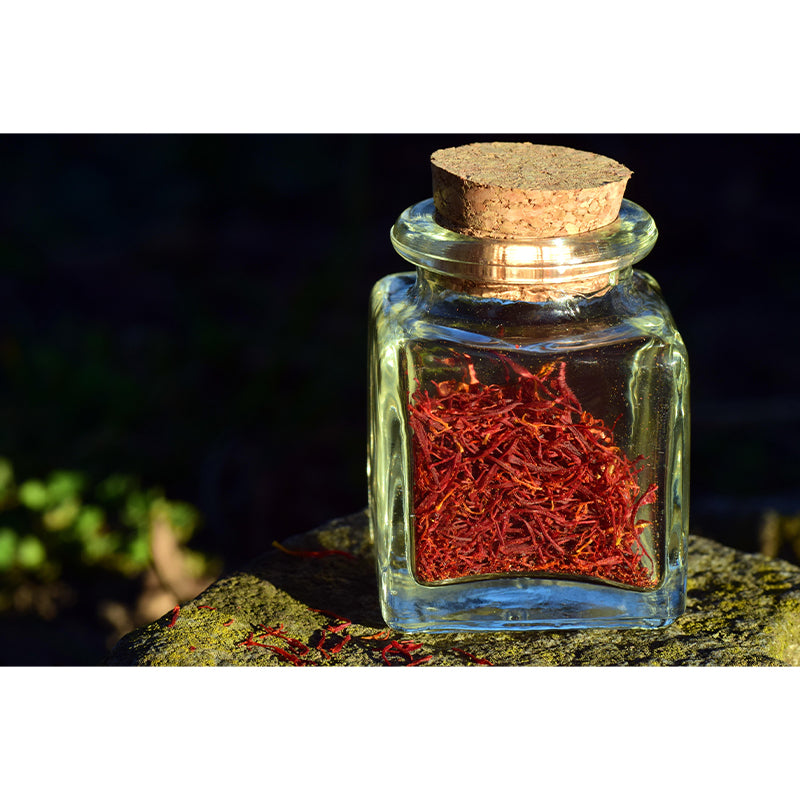 Wild Saffron Wall Mural Mildew Resistant Backsplash Wall Covering Kitchen Murals