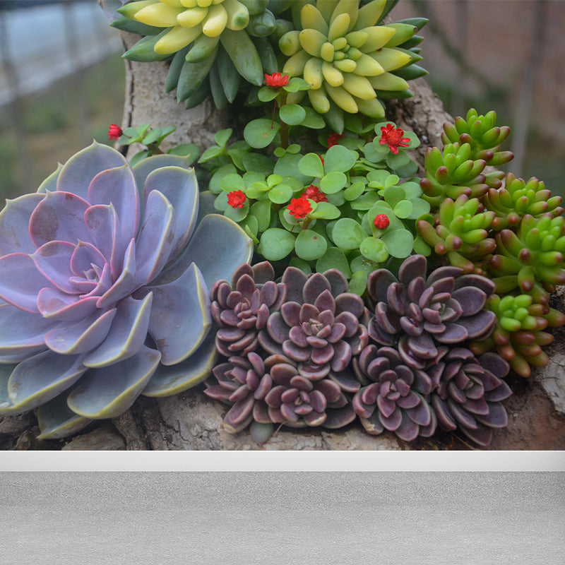 Modern Green Plant Wall Mural with Succulent Potted Plants Pattern for Bar Decoration