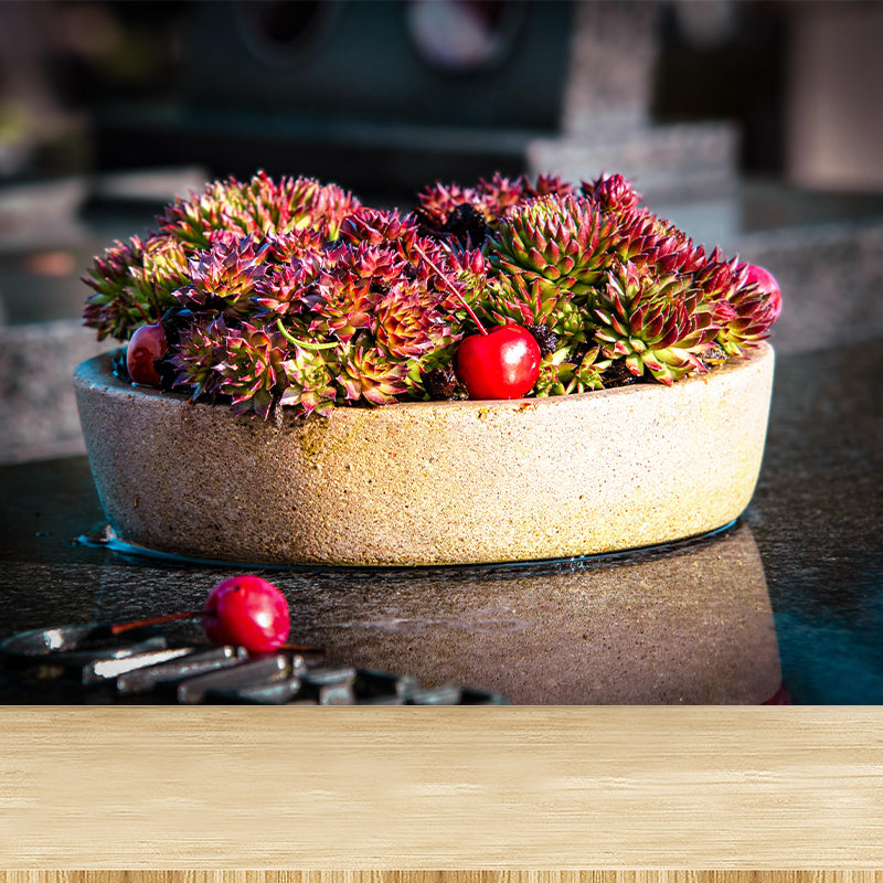 Modern Green Plant Wall Mural with Succulent Potted Plants Pattern for Bar Decoration