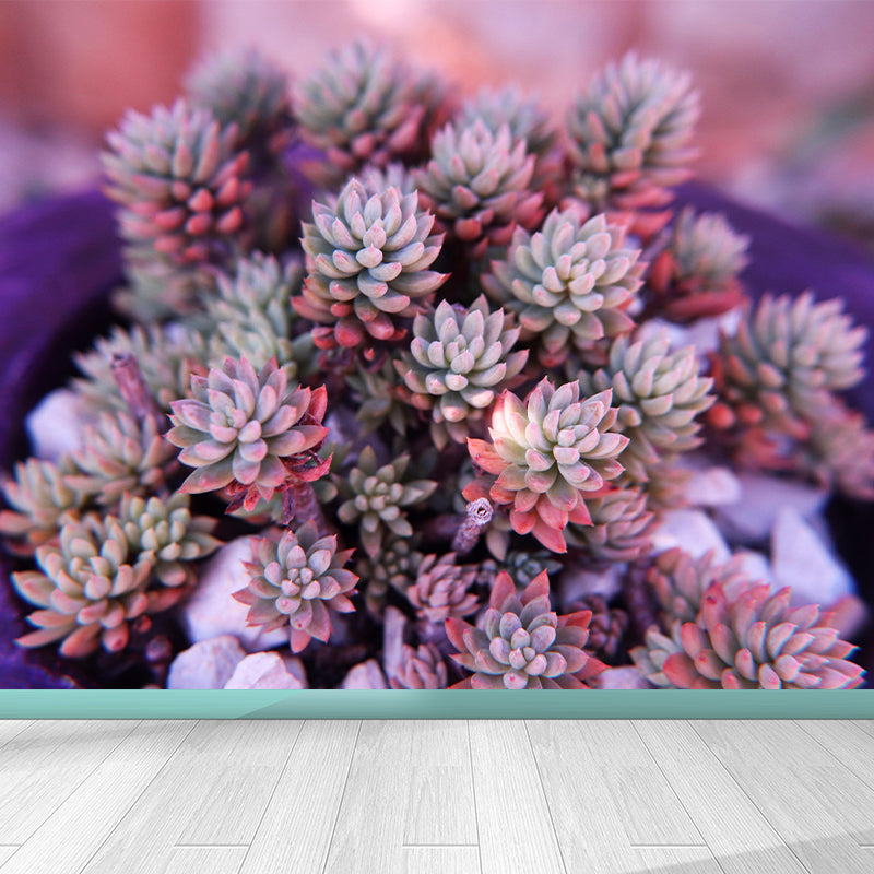 Modern Green Plant Wall Mural with Succulent Potted Plants Pattern for Bar Decoration