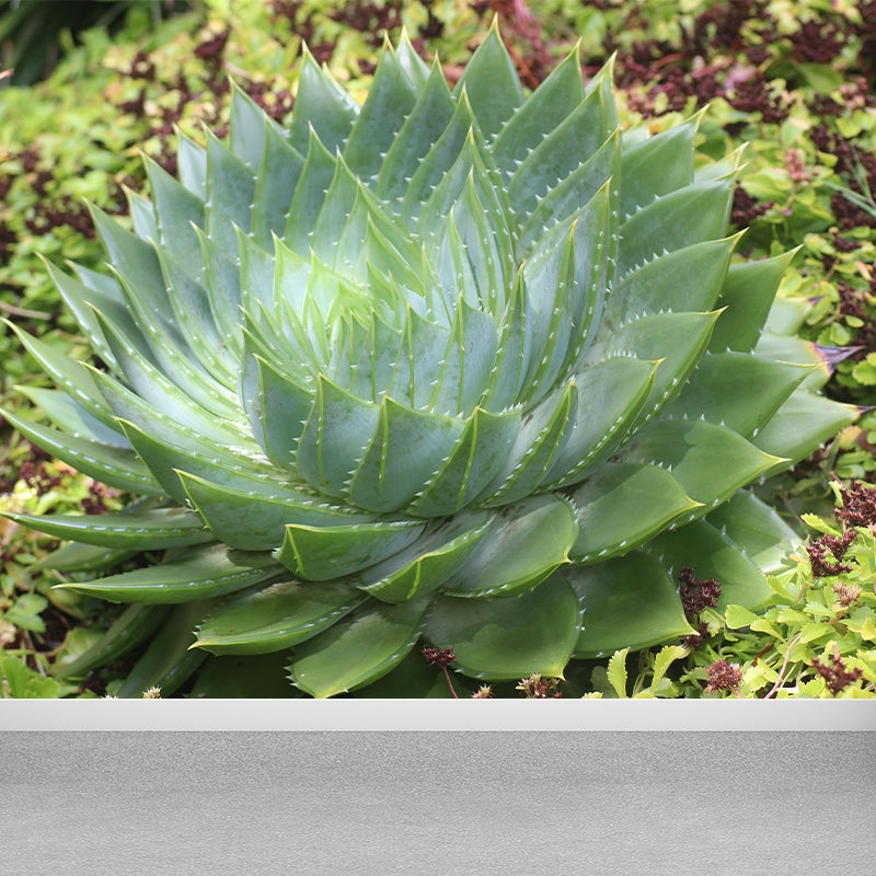 Green Plants Wall Mural Aloe Mildew Resistant Wall Art Decor for Office Home Apartment