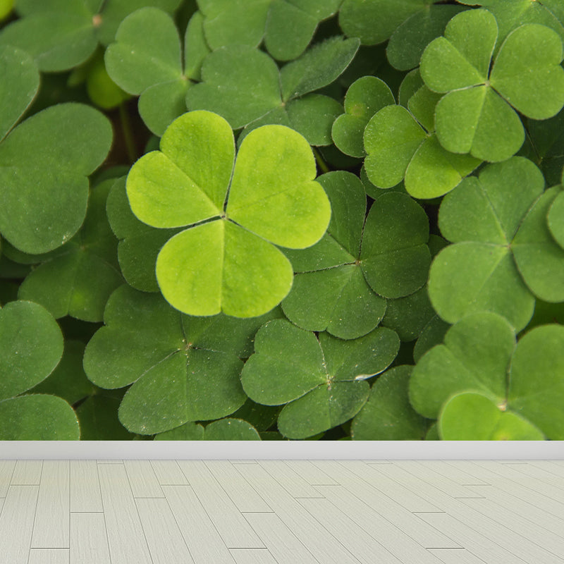 Contemporary Green Plant Wall Mural with Clover Pattern for Bar Decoration