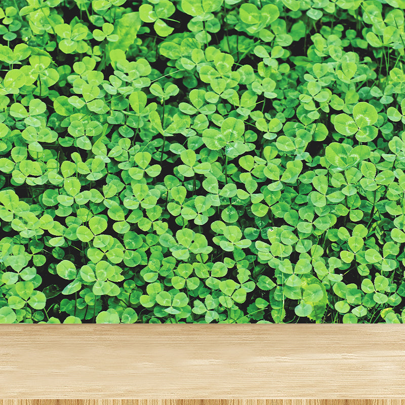Contemporary Green Plant Wall Mural with Clover Pattern for Bar Decoration