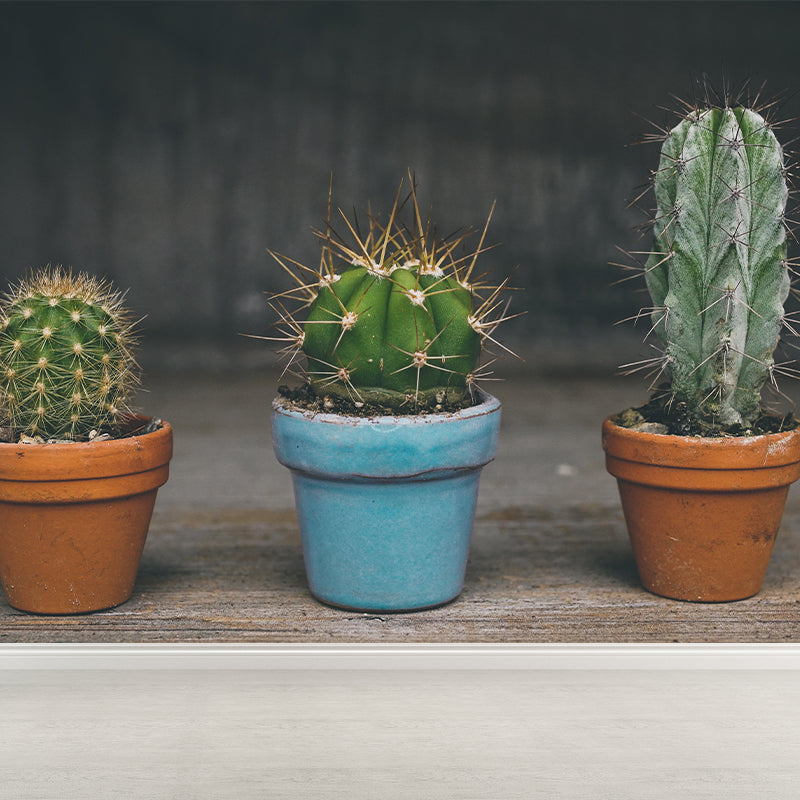 Modern Green Plant Wall Mural with Potted Cactus Pattern for Bar Decoration