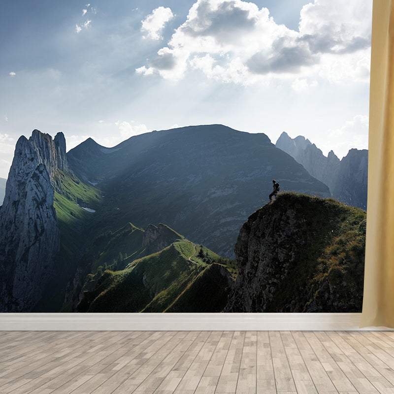 Huge Mountain Modernist Wall Mural Decal Photography Stain Resistant for Living Room