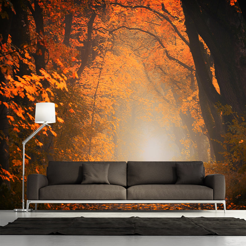 Contemporary Forest Mural Wallpaper Photography Horizontal Mildew Resistant for Bedroom