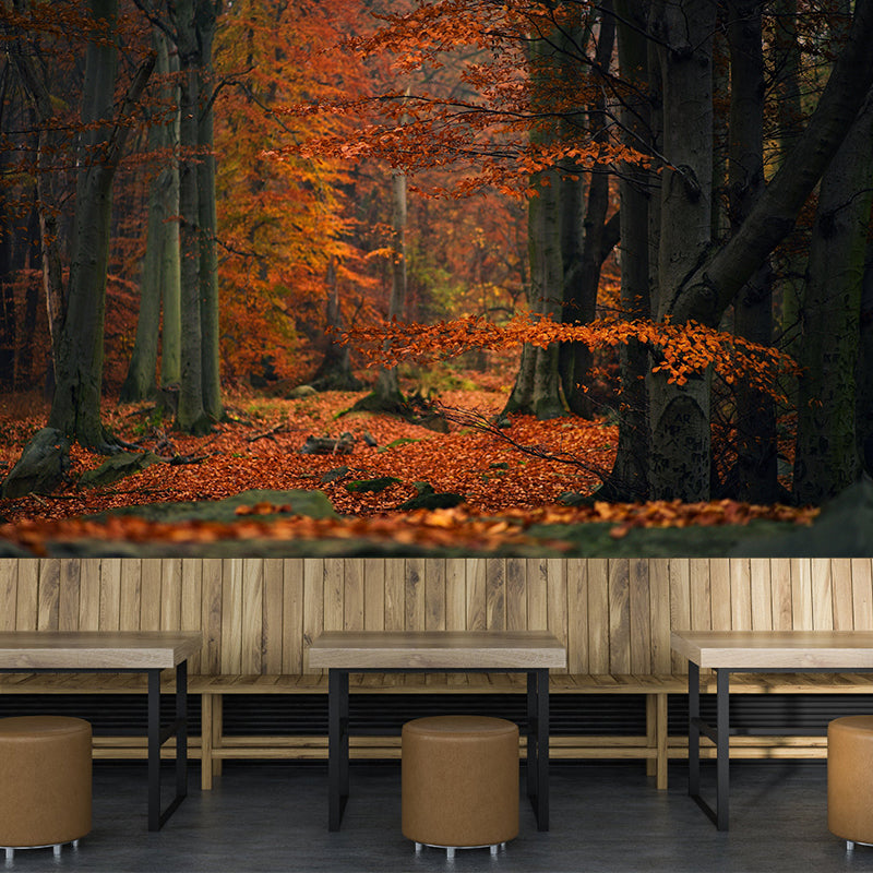 Contemporary Forest Mural Wallpaper Photography Horizontal Mildew Resistant for Bedroom