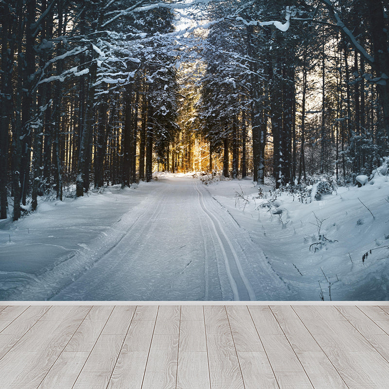 Huge Forest Modernist Wall Mural Decal Photography Stain Resistant for Living Room