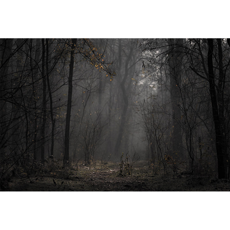 Huge Forest Modernist Wall Mural Decal Photography Stain Resistant for Living Room