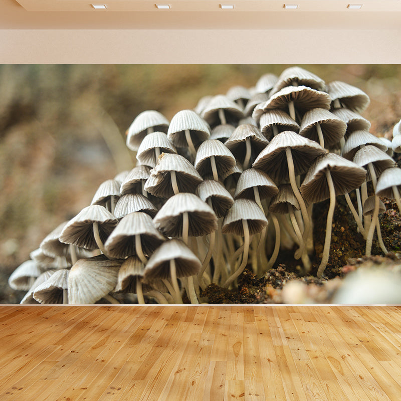 Modernist Mushroom Plant Wall Mural Decal Photography Stain Resistant for Kitchen