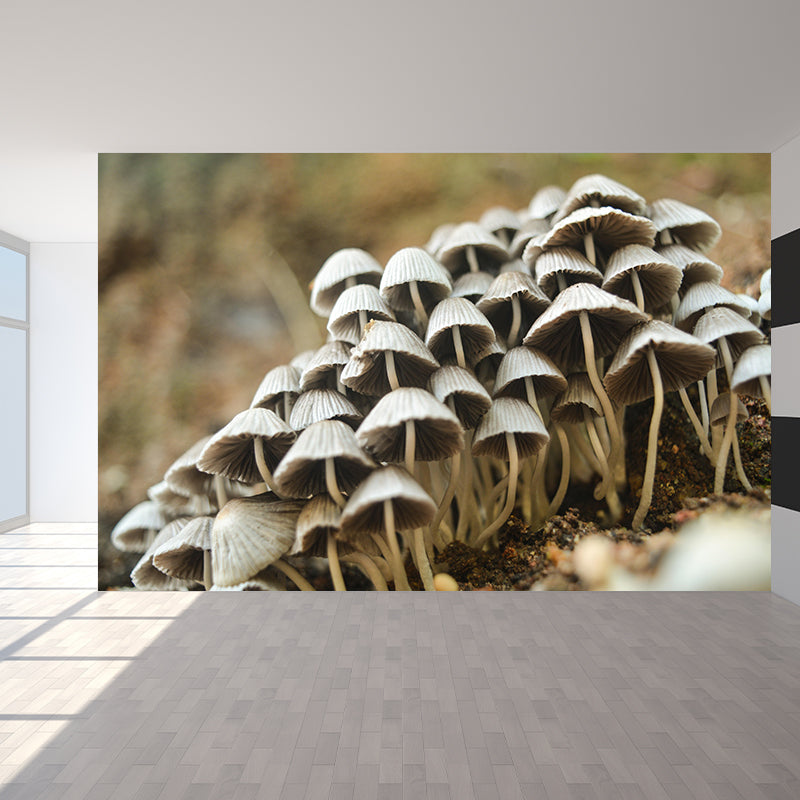 Modernist Mushroom Plant Wall Mural Decal Photography Stain Resistant for Kitchen