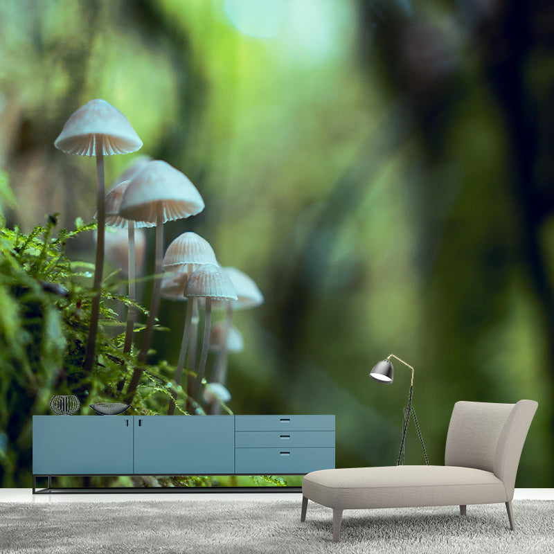 Mushroom Plant Modernist Wall Mural Decal Photography Stain Resistant for Living Room