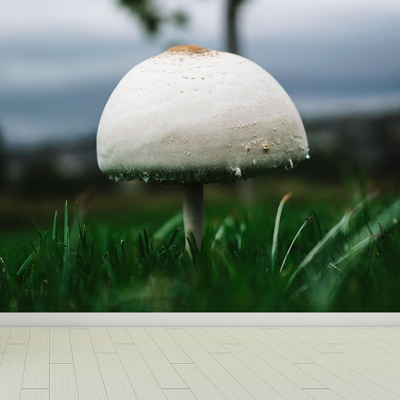 Customized Mushroom Wall Decor Kitchen Murals Moisture Resistant Backsplash