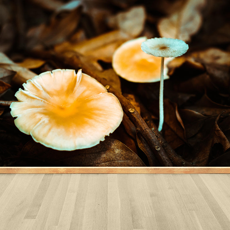 Customized Mushroom Wall Decor Kitchen Murals Moisture Resistant Backsplash