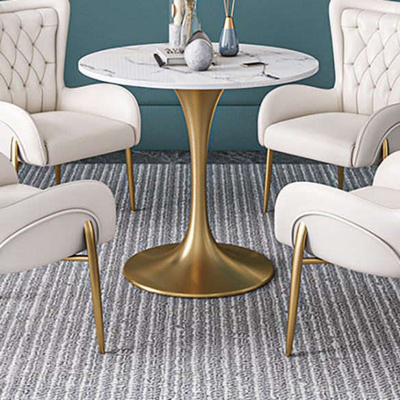 Scandinavian Kitchen Dining Room Set with  Sintered Stone Top and Gold Base Dining Furniture