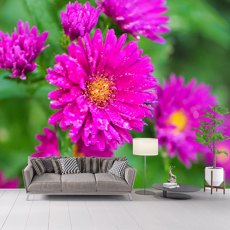 Bright Flowers Mural Decal Modern Wall Covering for Sitting Room, Waterproofing