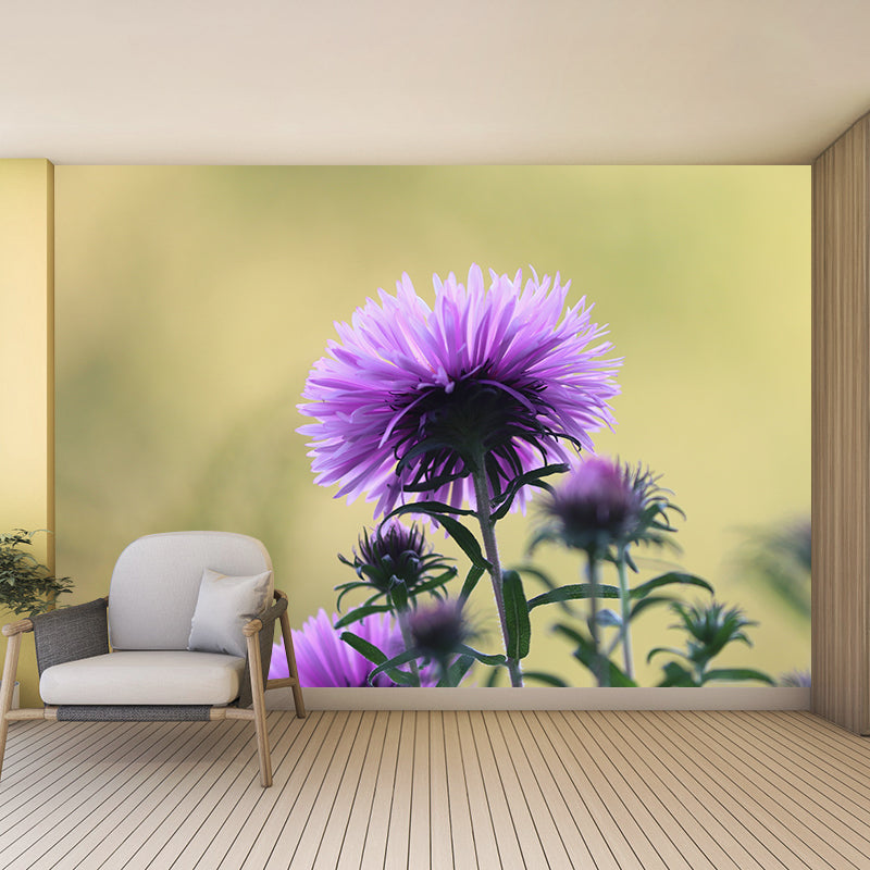 Bright Flowers Mural Decal Modern Wall Covering for Sitting Room, Waterproofing