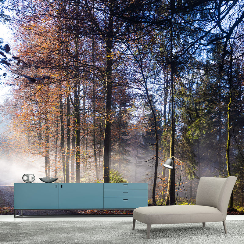 Photographic Forest Wall Mural Water Resistant Wall Decor for House Interior, Custom Size