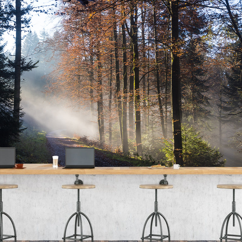 Photographic Forest Wall Mural Water Resistant Wall Decor for House Interior, Custom Size