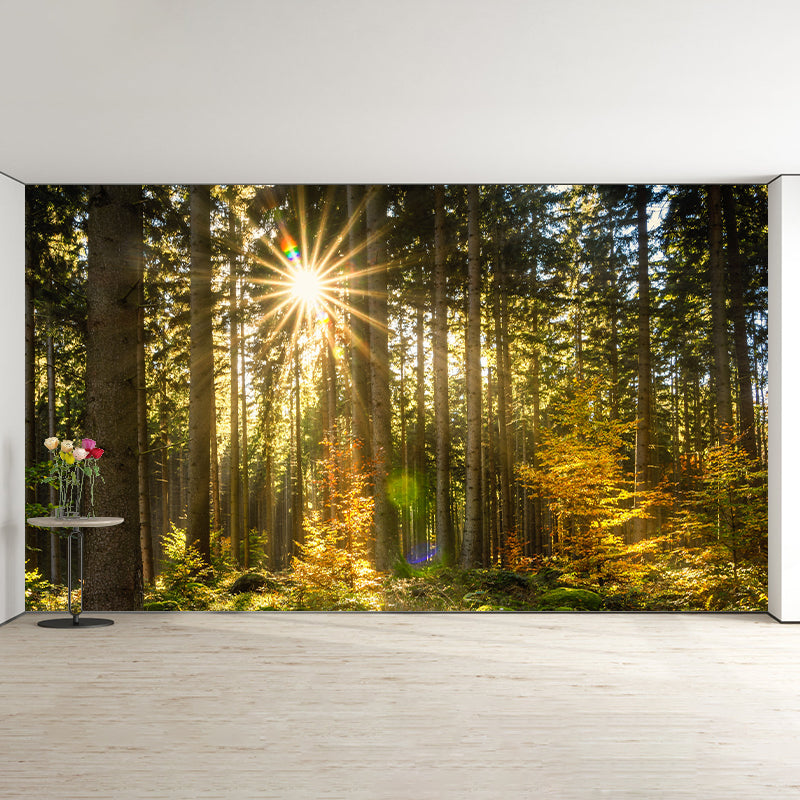 Photographic Forest Wall Mural Water Resistant Wall Decor for House Interior, Custom Size