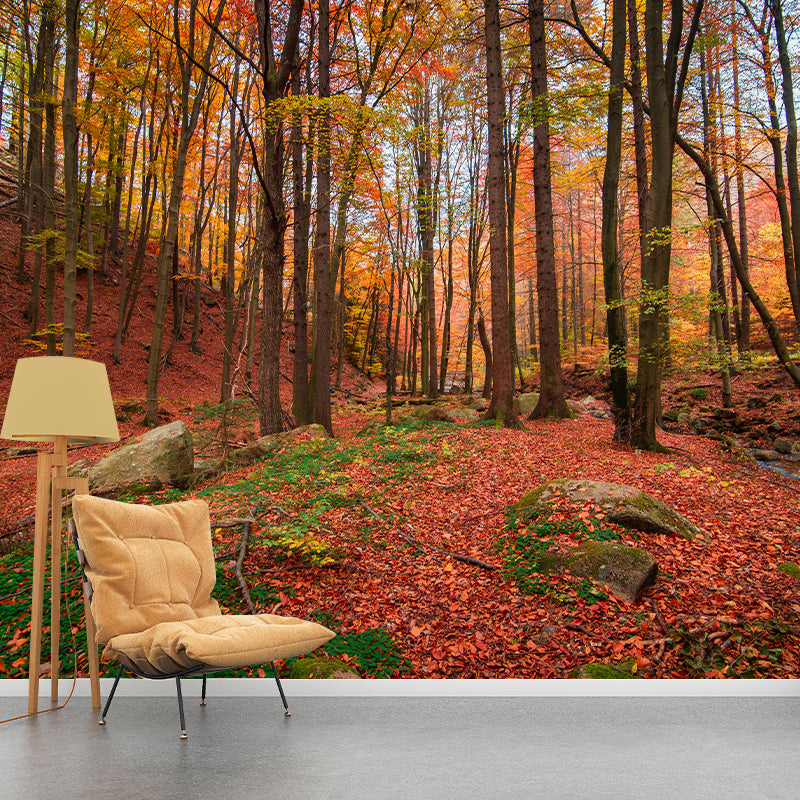 Autumn Forest Landscape Mural Water Resistant Wall Decor for Sitting Room