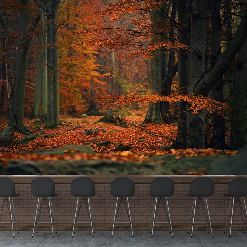 Autumn Forest Landscape Mural Water Resistant Wall Decor for Sitting Room