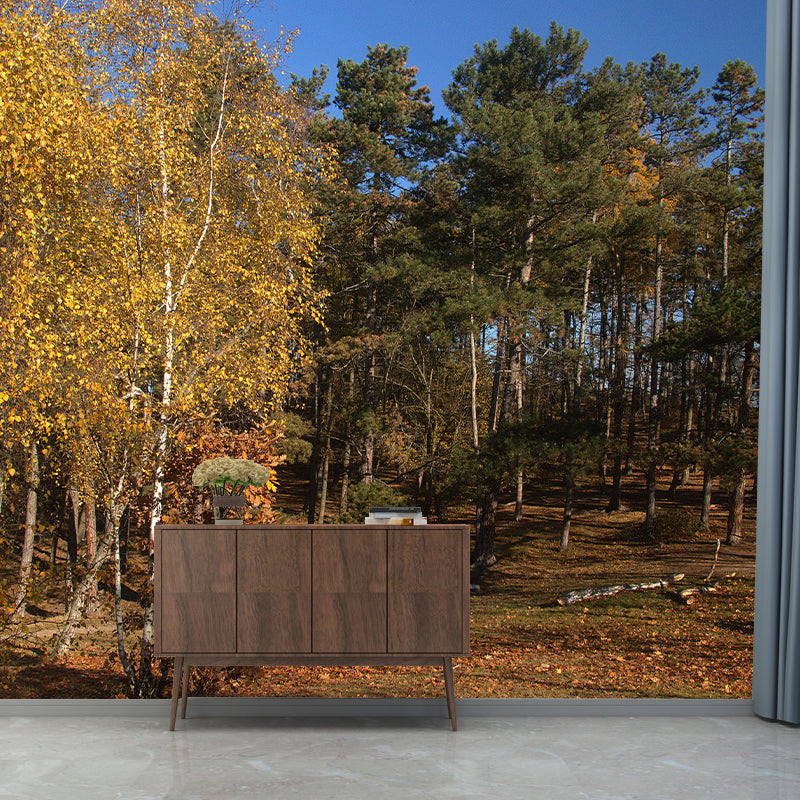 Misty Forest Scenery Stain-Proofing Wall Decor for Living Room Bedroom