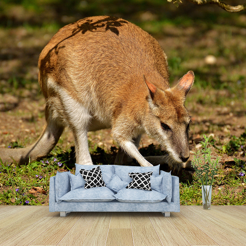 Clever Kangaroo Mural Decal Water Resistant Wall Decor for Living Room