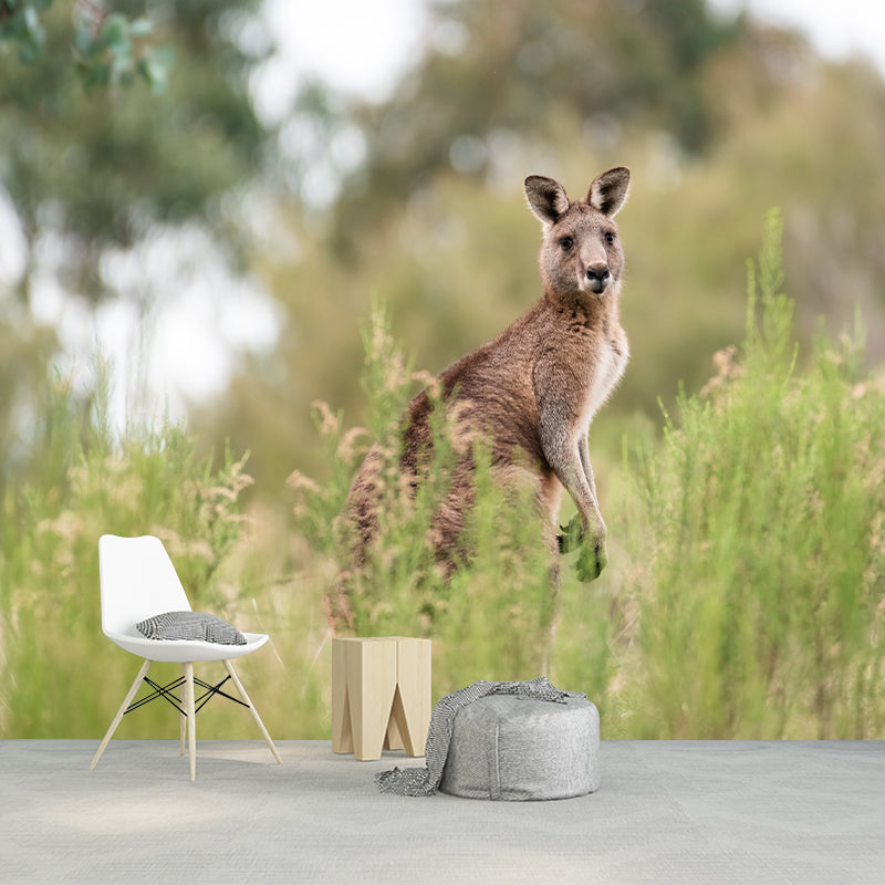 Clever Kangaroo Mural Decal Water Resistant Wall Decor for Living Room