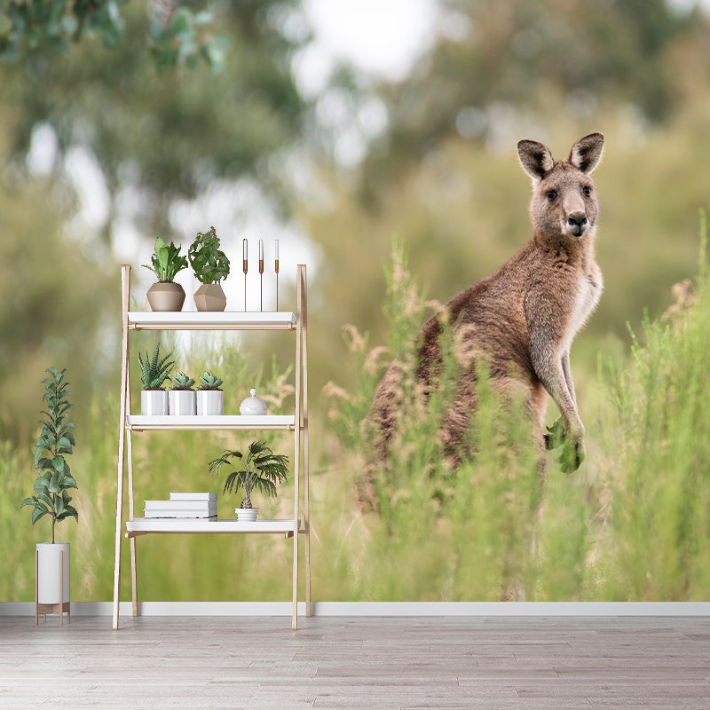Clever Kangaroo Mural Decal Water Resistant Wall Decor for Living Room
