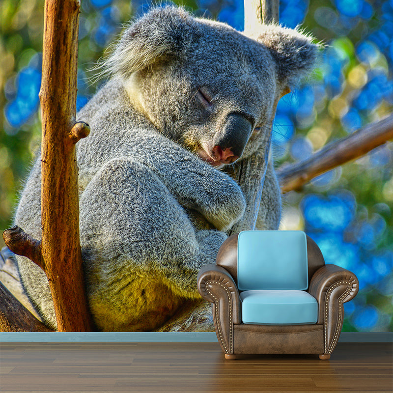 Koala Animals Mural Wallpaper Water Resistant Wall Decor for Living Room
