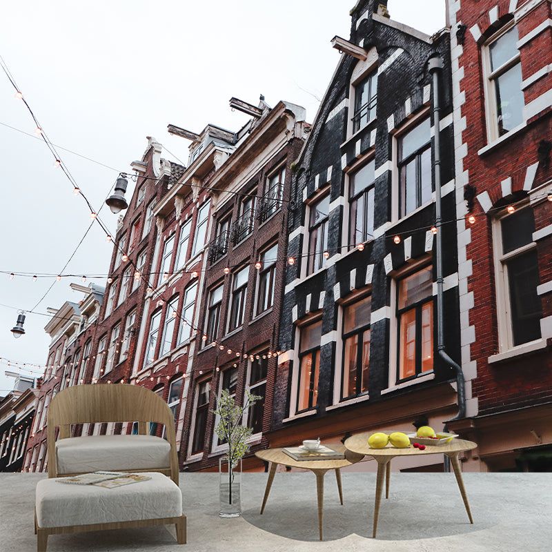 Dutch City Architecture Scenery Mural Water Resistant, Personalized Size