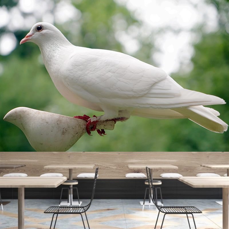 White Pigeon Murals Moisture Resistant Contemporary Hallway Wall Decoration