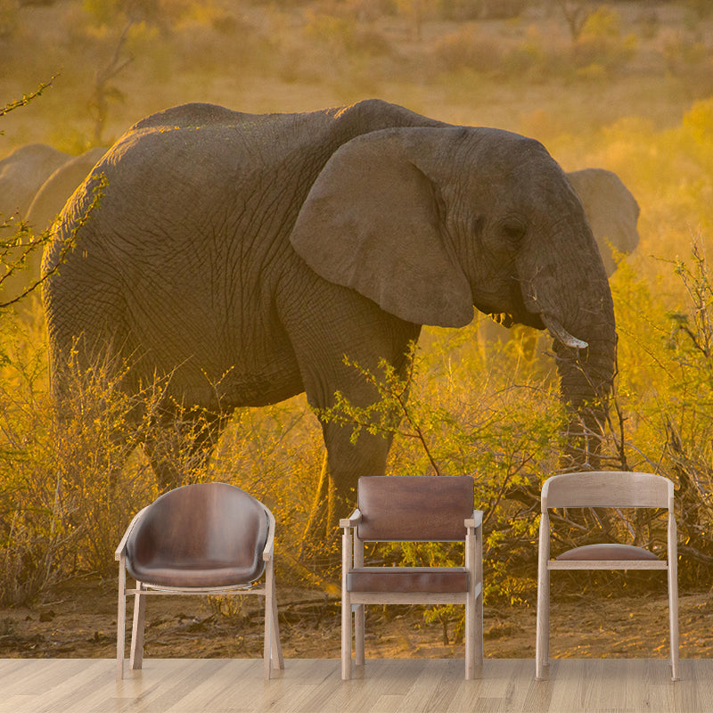 Huge Elephant Mural Wallpaper Contemporary Style Wall Covering for Living Room