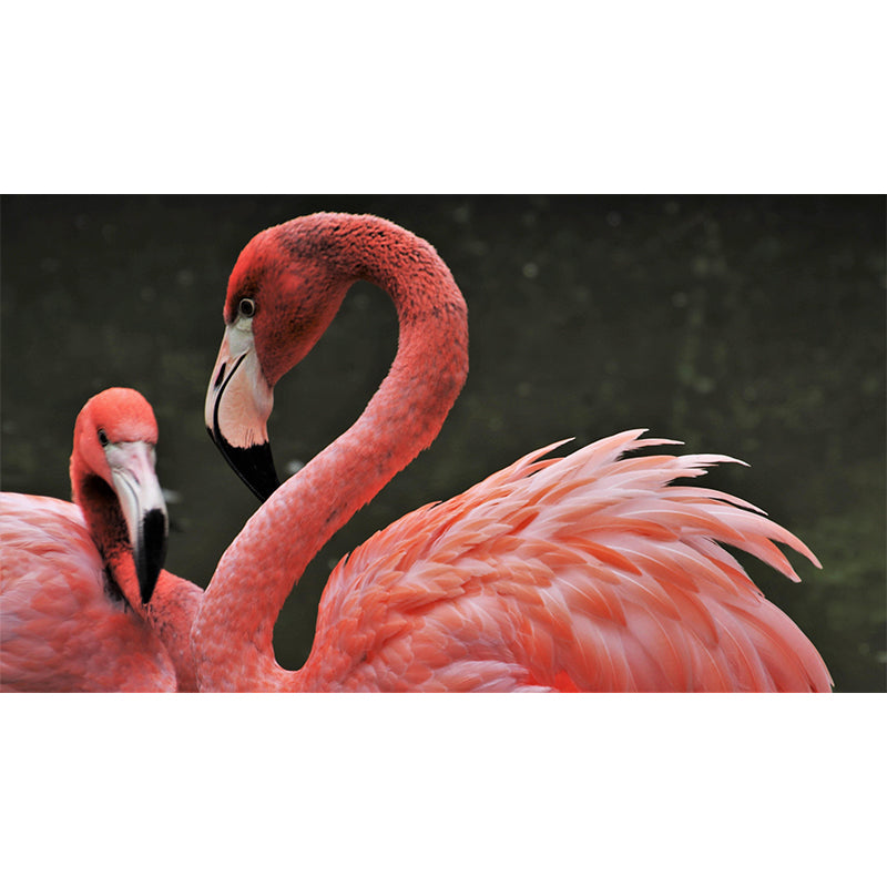 Flamingo Murals Moisture Resistant Contemporary Hallway Wall Decoration