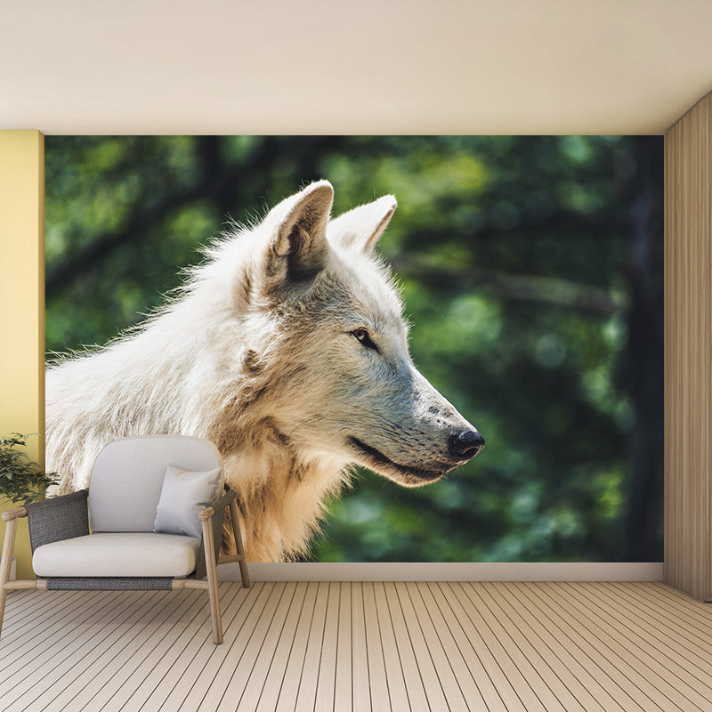 Contemporary Style Wolf Mural Eco-friendly Wallpaper Wall Covering for Sitting Room