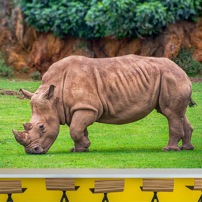 Contemporary Style Rhino Mural Eco-friendly Wallpaper Wall Covering for Sitting Room
