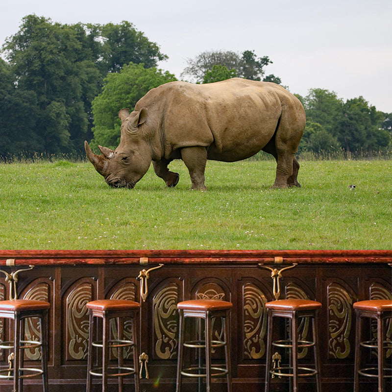 Contemporary Style Rhino Mural Eco-friendly Wallpaper Wall Covering for Sitting Room