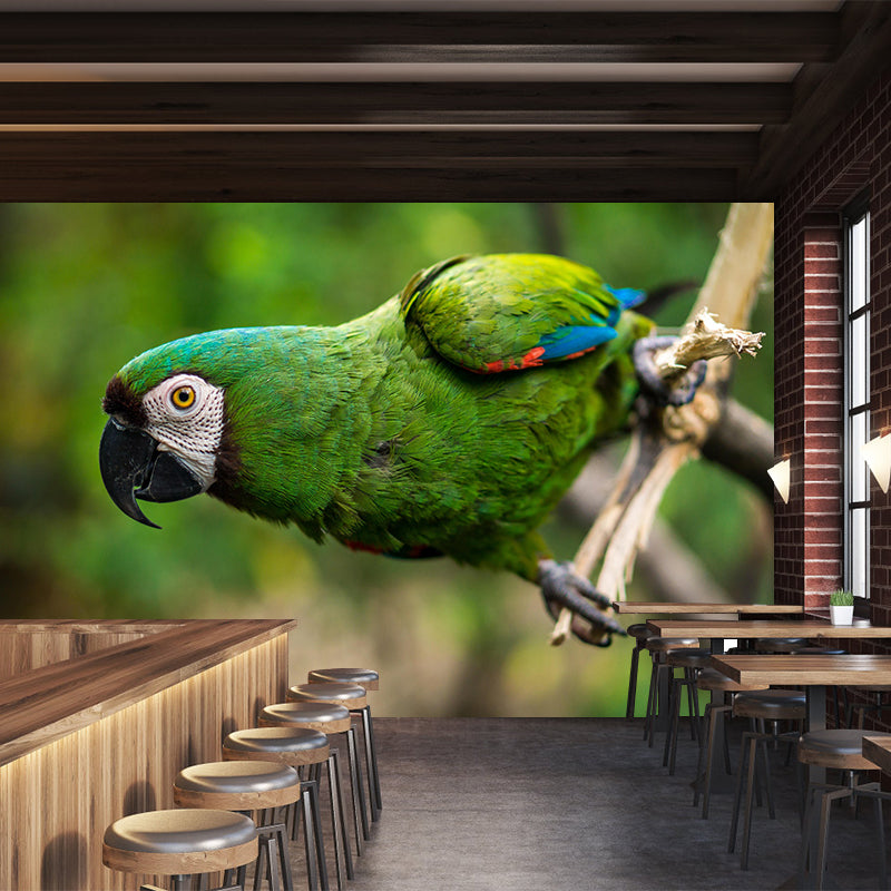 Clever Parrot Murals Moisture Resistant Contemporary Hallway Wall Decoration