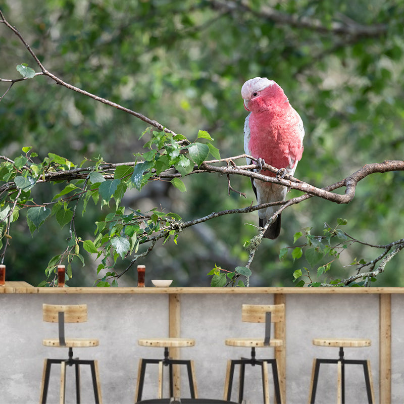 Clever Parrot Murals Moisture Resistant Contemporary Hallway Wall Decoration