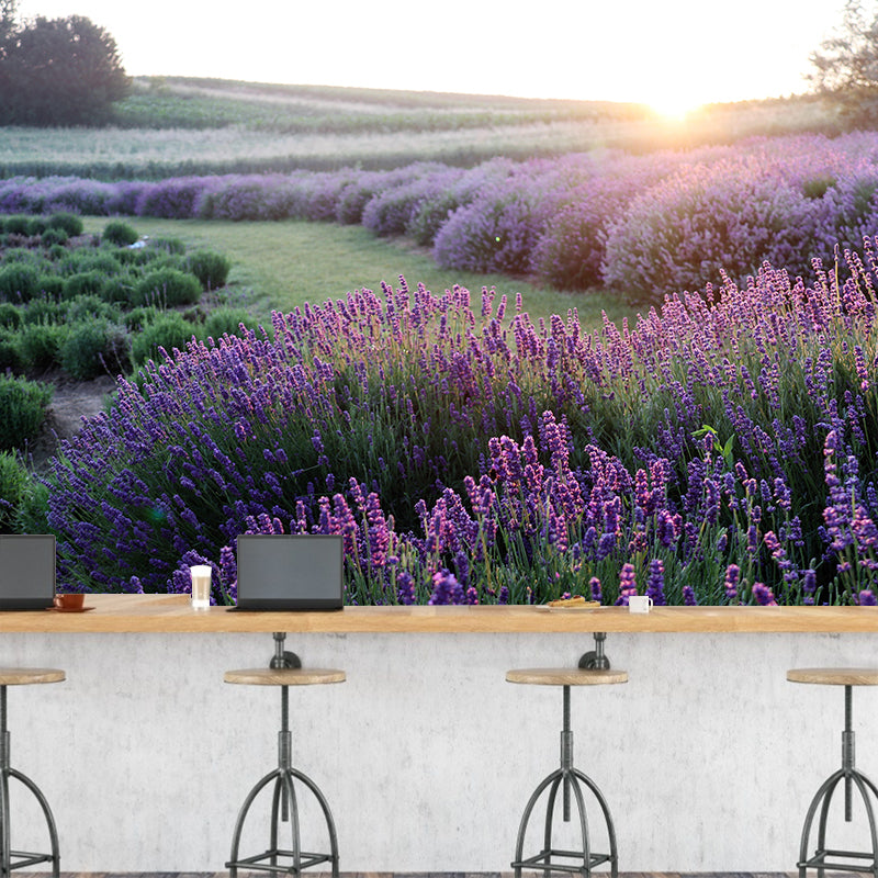 Beautiful Flowers Murals Wallpaper Modern Stain Resistant Wall Decor in Multi-Clor