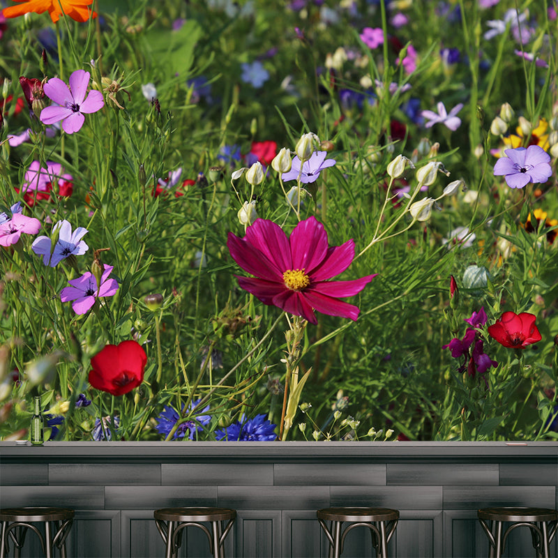 Multi Color Flower Removable Mural Wallpaper Stain Resistant Decor for Bedroom